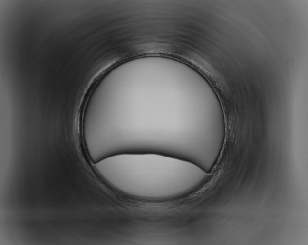 X0000097490790200802220839