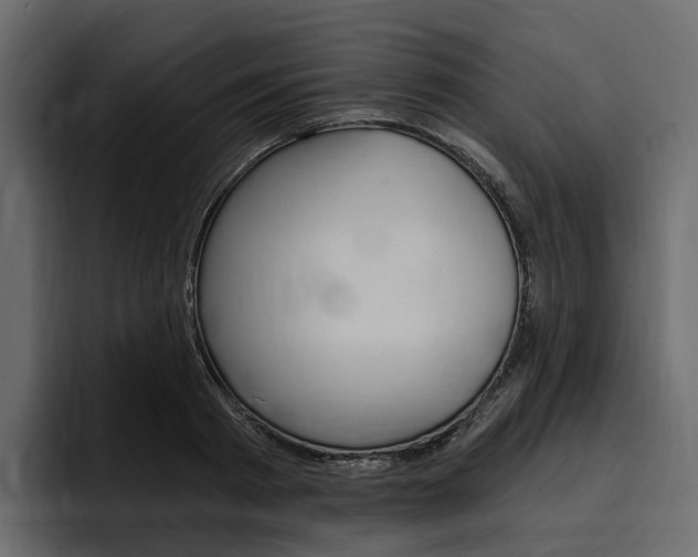 X0000097490793200802220839