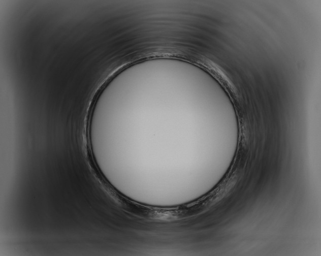 X0000097490794200802220839