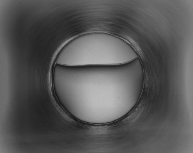 X0000097490796200802220839