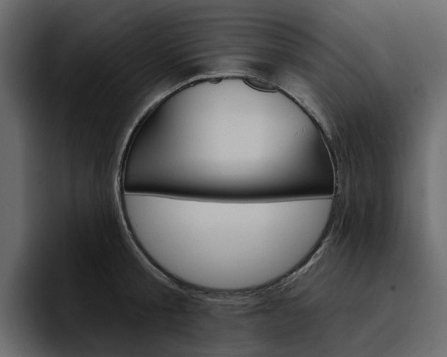 X0000097490805200802220839
