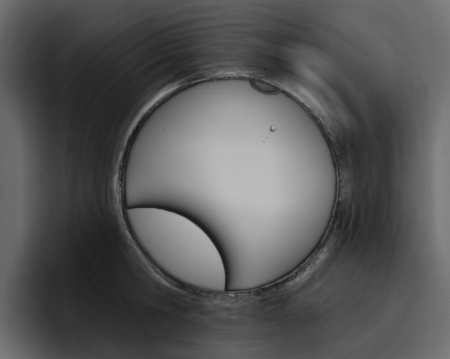 X0000097490806200802220839
