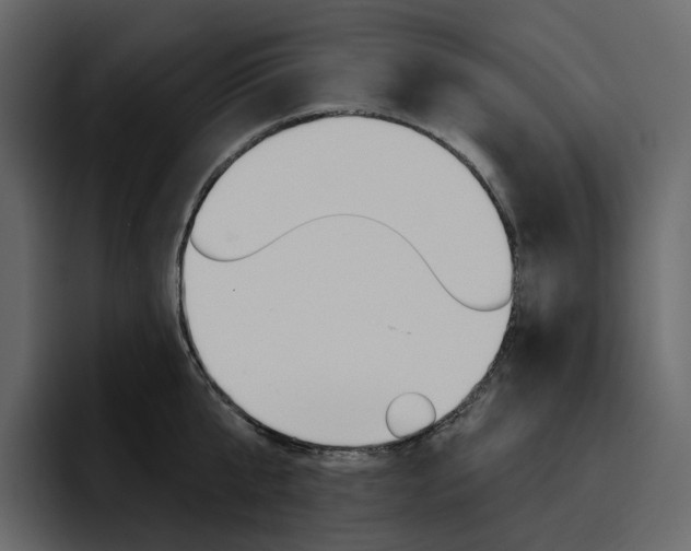 X0000097490807200802220839