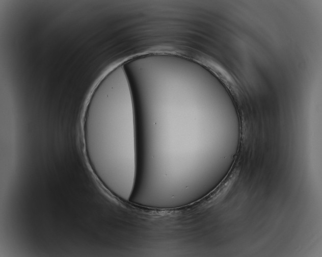 X0000097490808200802220839