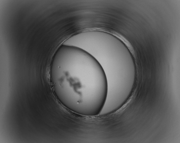 X0000097490809200802220839