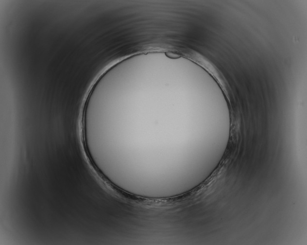 X0000097490811200802220839