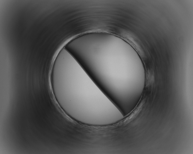 X0000097490812200802220839