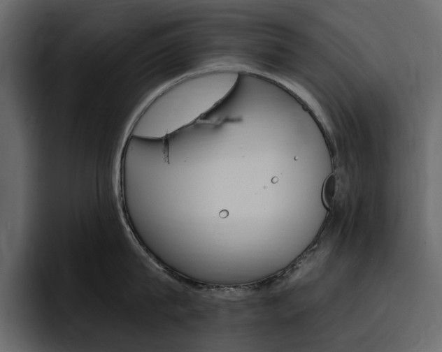 X0000097490815200802220839