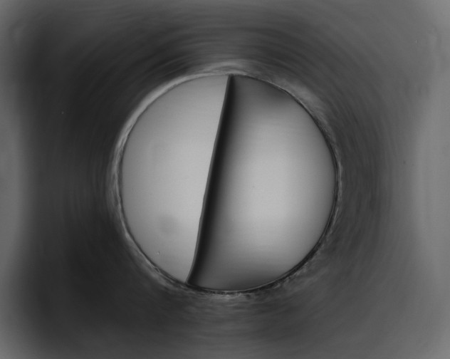 X0000097490816200802220839