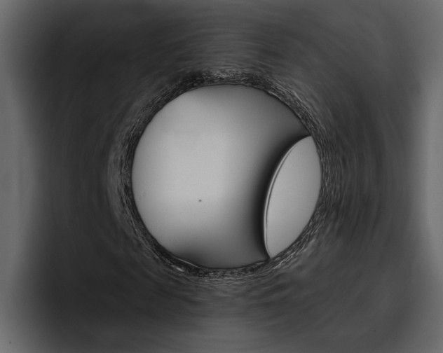 X0000097490817200802220838