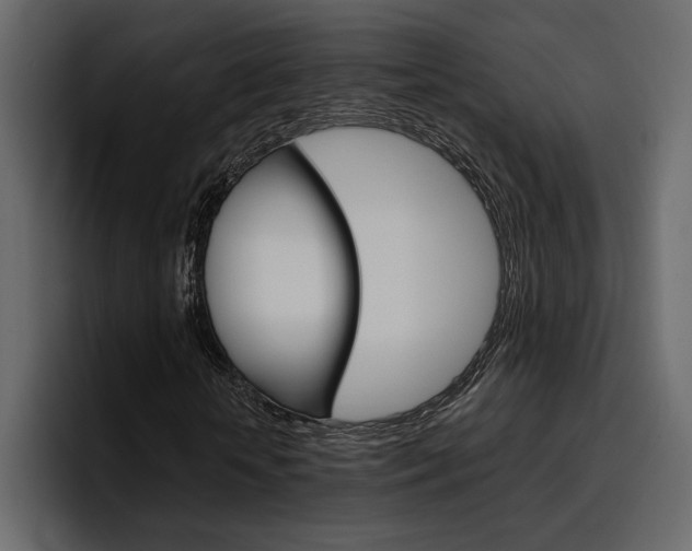 X0000097490818200802220838