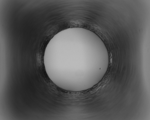 X0000097490819200802220838