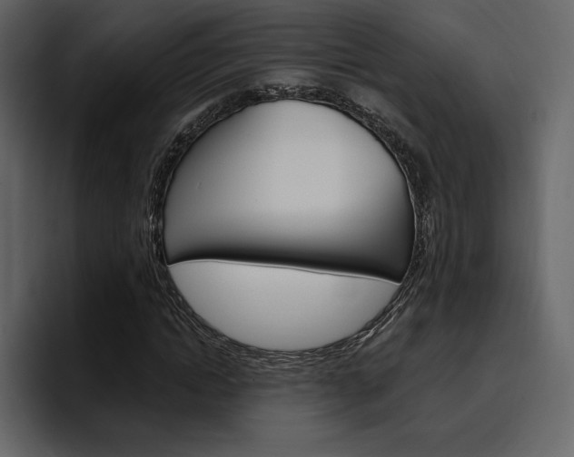 X0000097490822200802220839