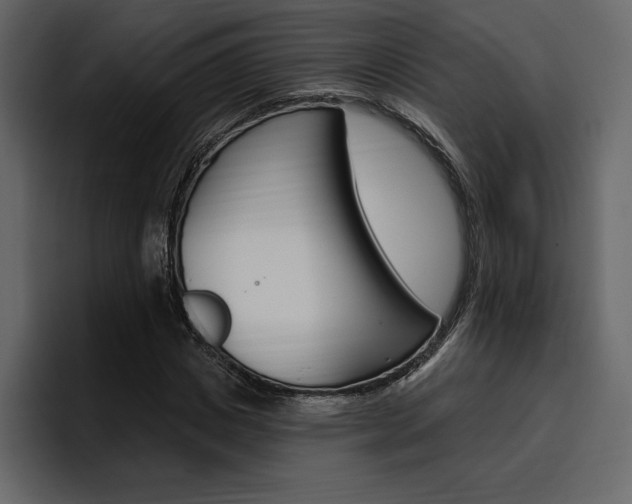 X0000097490825200802220839