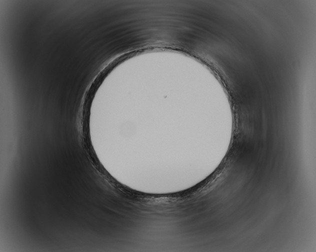 X0000097490828200802220839