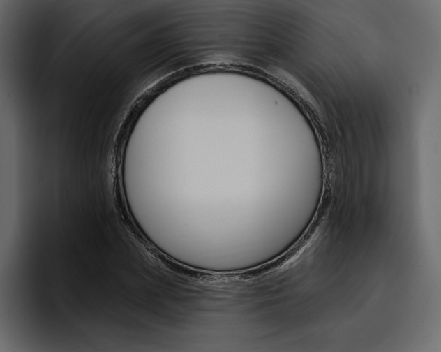 X0000097490831200802220839