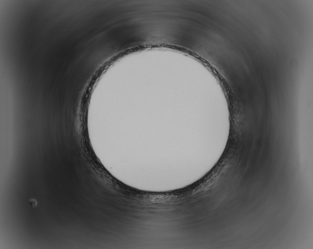 X0000097490832200802220839