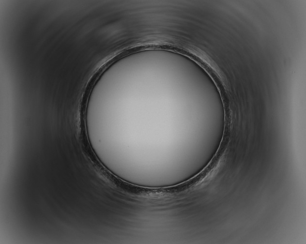 X0000097490834200802220839