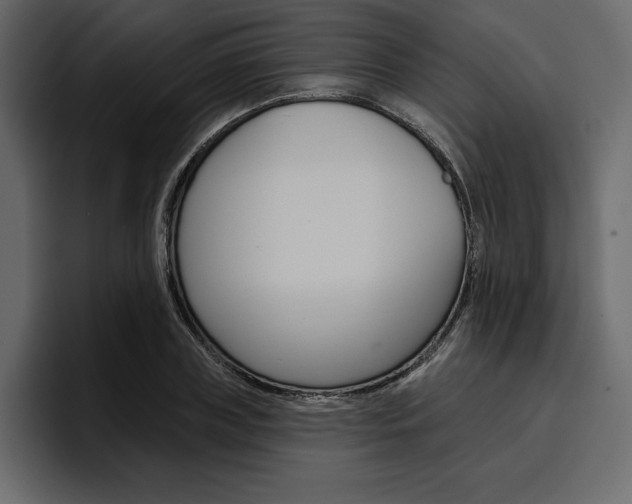 X0000097490835200802220839