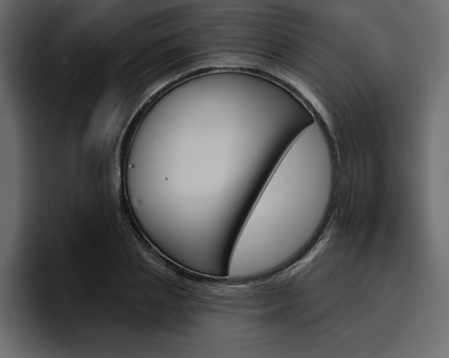X0000097490837200802220839