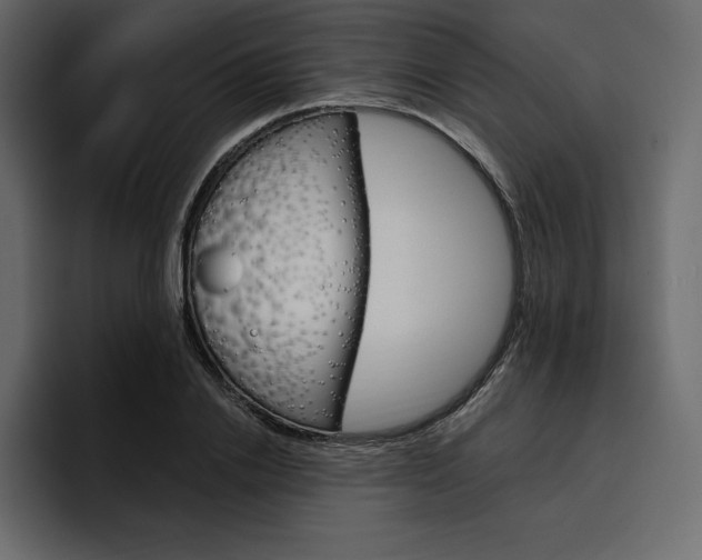 X0000097490838200802220839