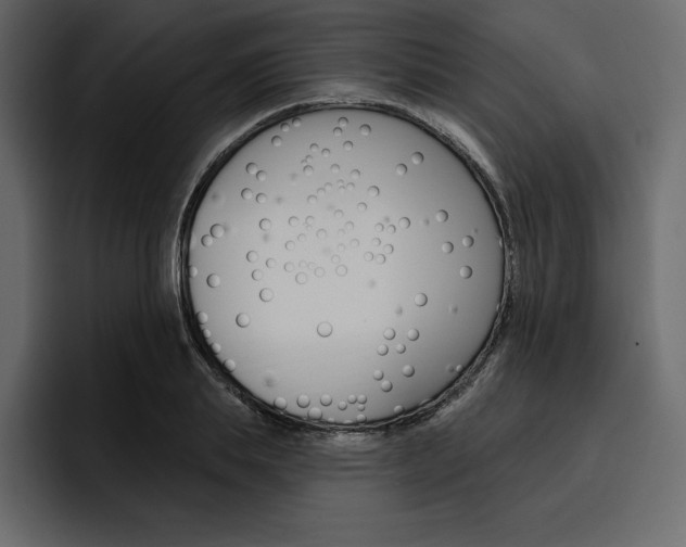 X0000097490839200802220839