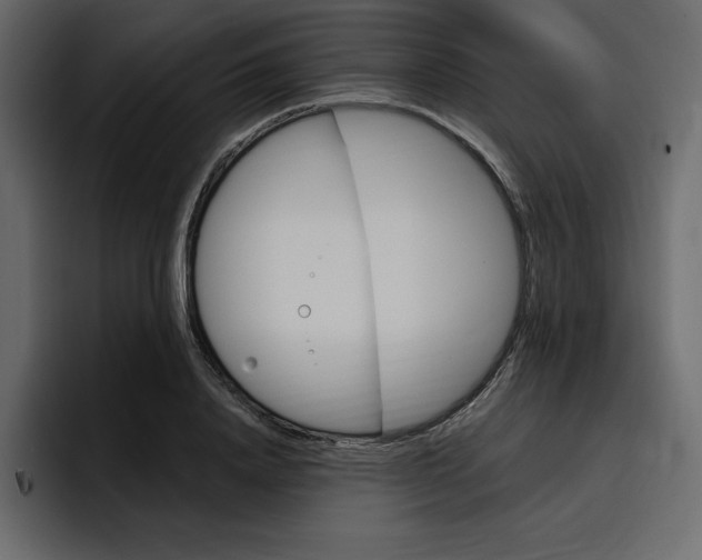 X0000097490840200802220839