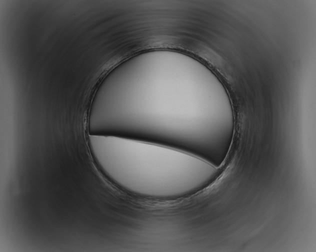 X0000097490841200802220839