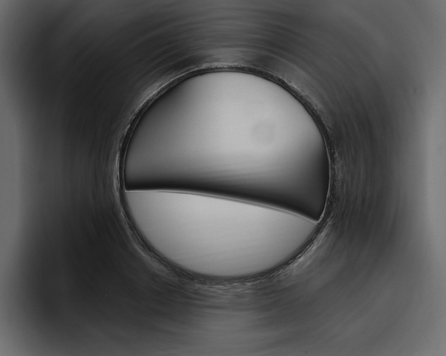 X0000097490842200802220839