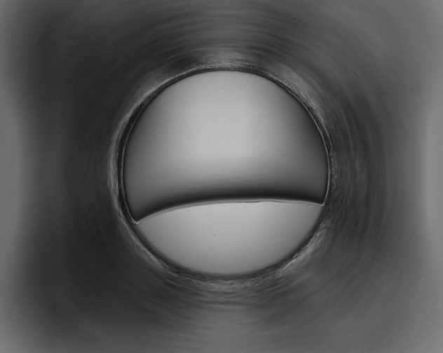 X0000097490843200802220839