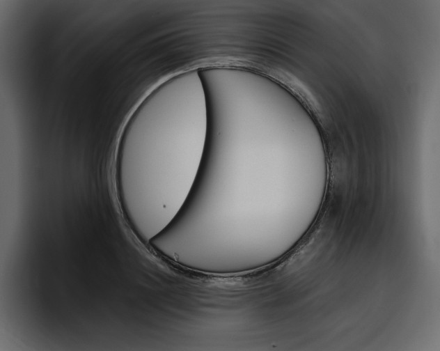 X0000097490844200802220839