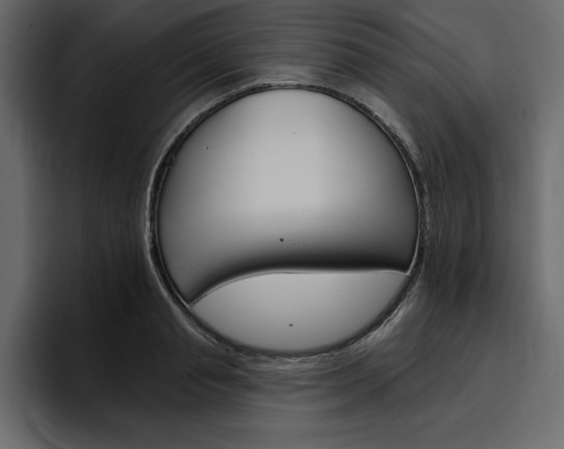 X0000097490845200802220839