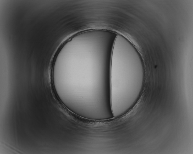 X0000097490846200802220839