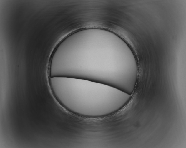 X0000097490847200802220839