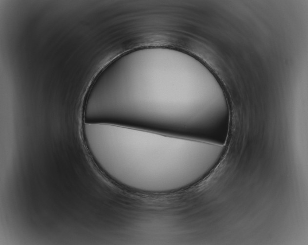 X0000097490850200802220839