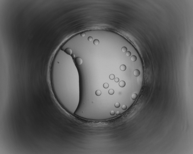 X0000097490851200802220839
