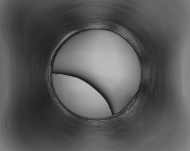X0000097490852200802220839