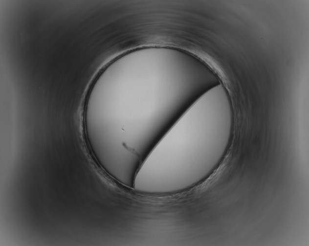 X0000097490854200802220839