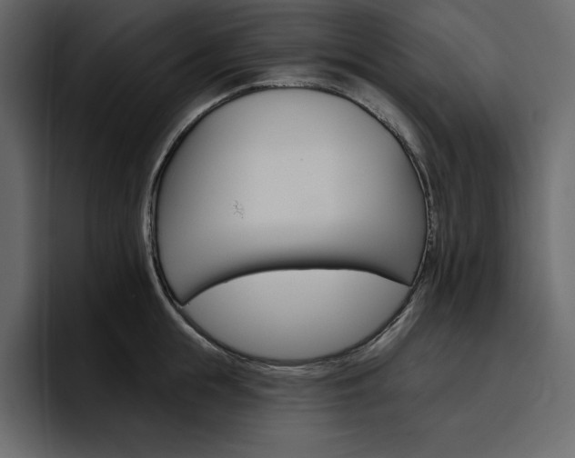 X0000097490855200802220839