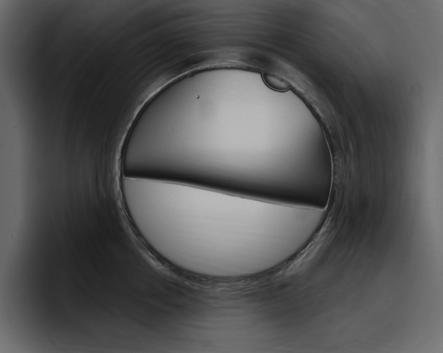 X0000097490858200802220839