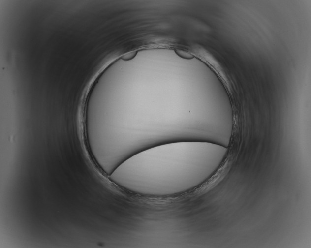 X0000097490859200802220839
