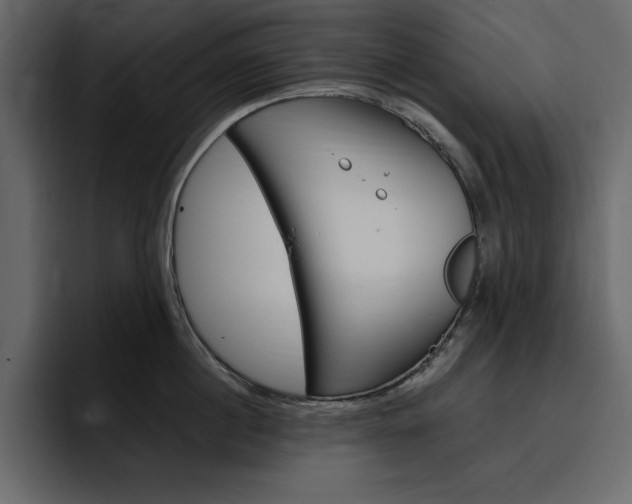 X0000097490860200802220839