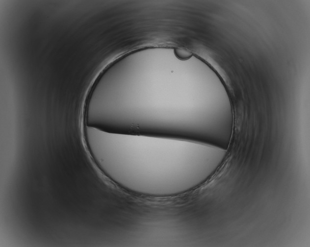 X0000097490861200802220839