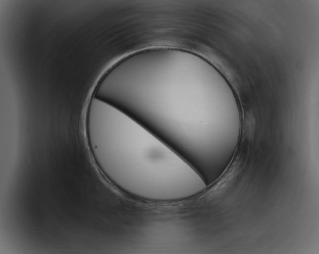 X0000097490862200802220839