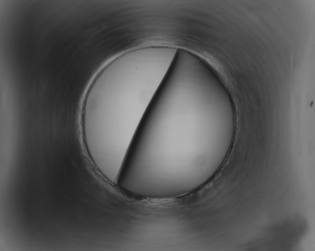 X0000097490864200802220839
