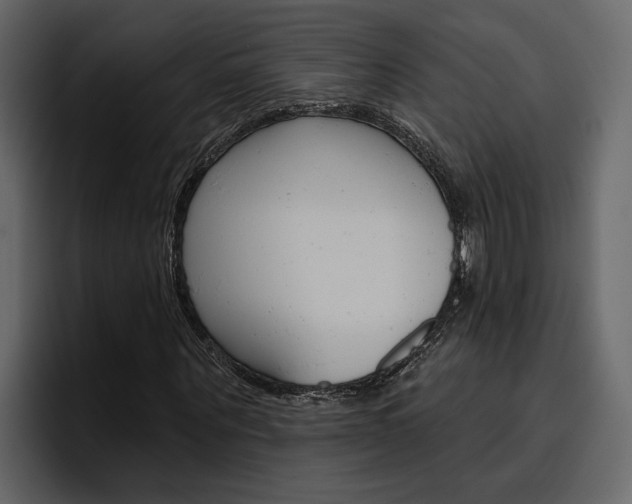 X0000097490867200802220838
