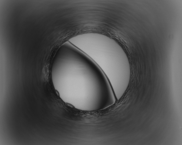 X0000097490868200802220838