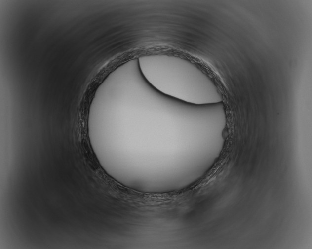 X0000097490871200802220838