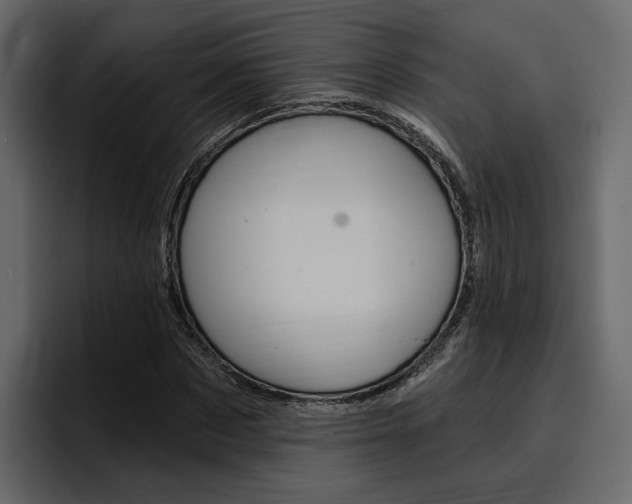 X0000097490873200802220838