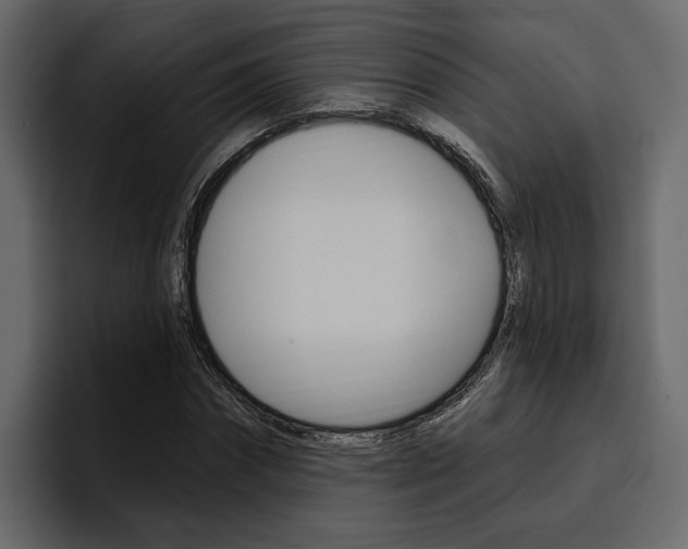 X0000097490874200802220838